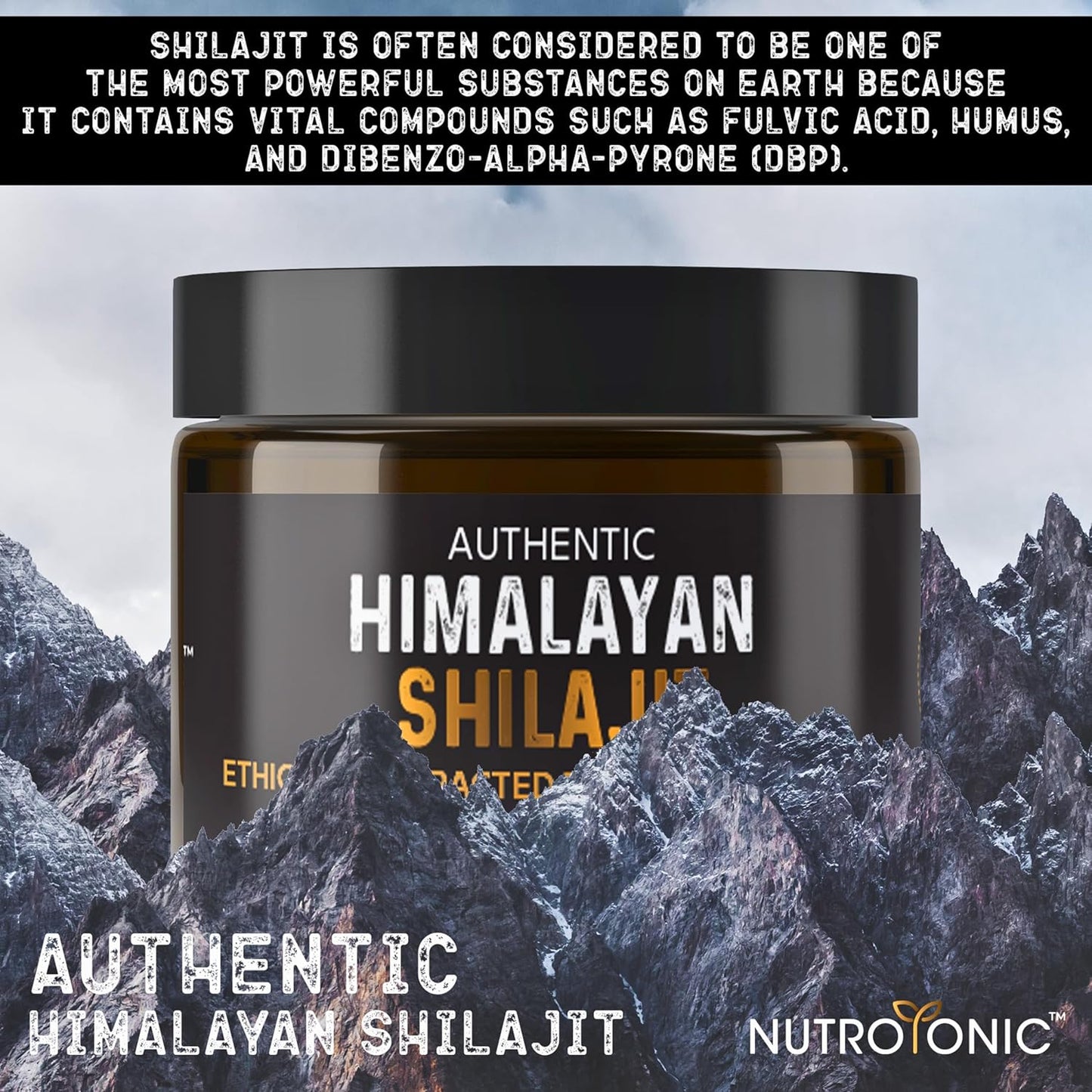 Shilajit Oro Puro del Himalaya